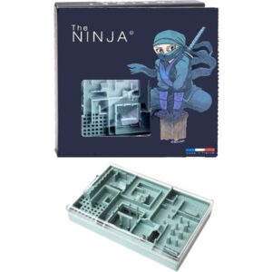 The Ninja Legend Maze Puzzle